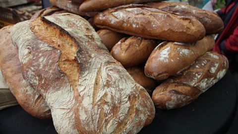 Le pain à la chicorée de Sébastien Bailleul : une croûte bien cuite sur une mie serrée et moelleuse, avec une pointe de caramel. 